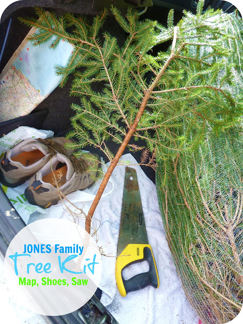 Christmas Traditions….  The Chopping Of The Tree!