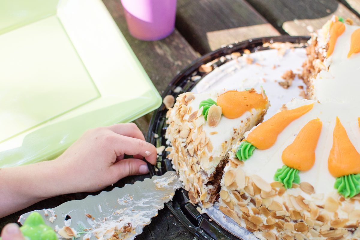 Zootropolis cake disney birthday