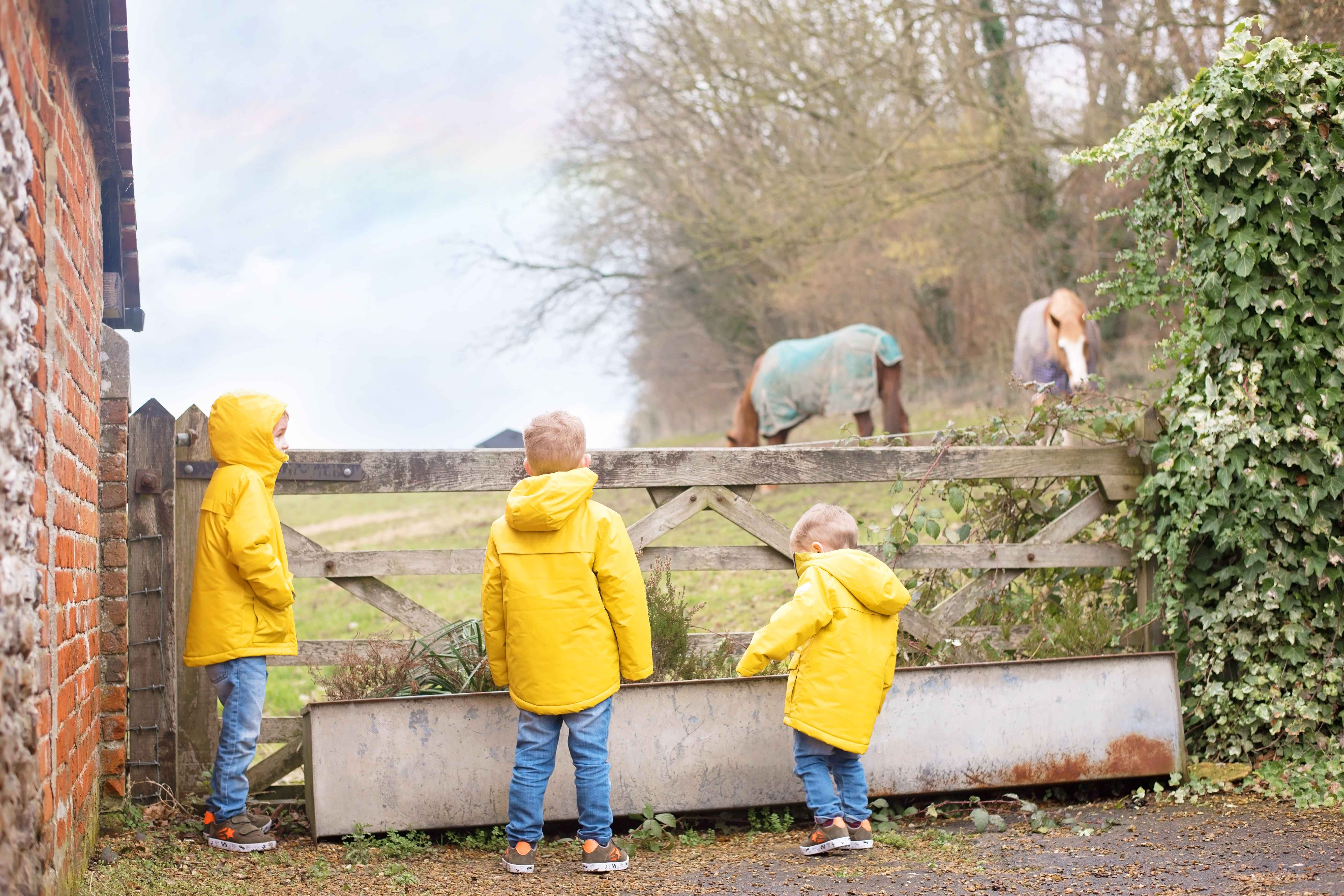 FUN ON THE FARM WITH NEXT KIDS AND BOCKETTS FARM