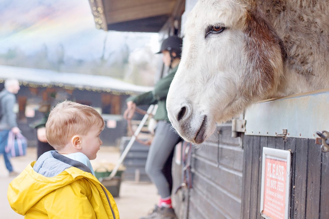 FUN ON THE FARM WITH NEXT KIDS AND BOCKETTS FARM