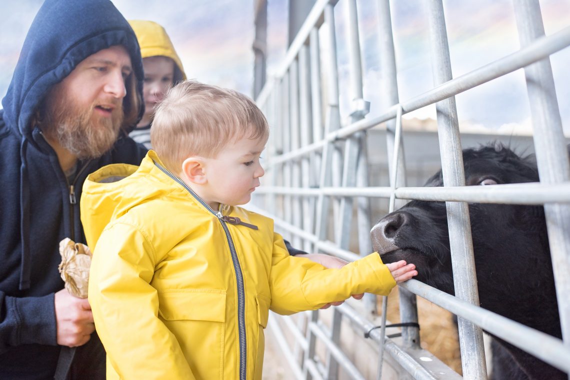 FUN ON THE FARM WITH NEXT KIDS AND BOCKETTS FARM