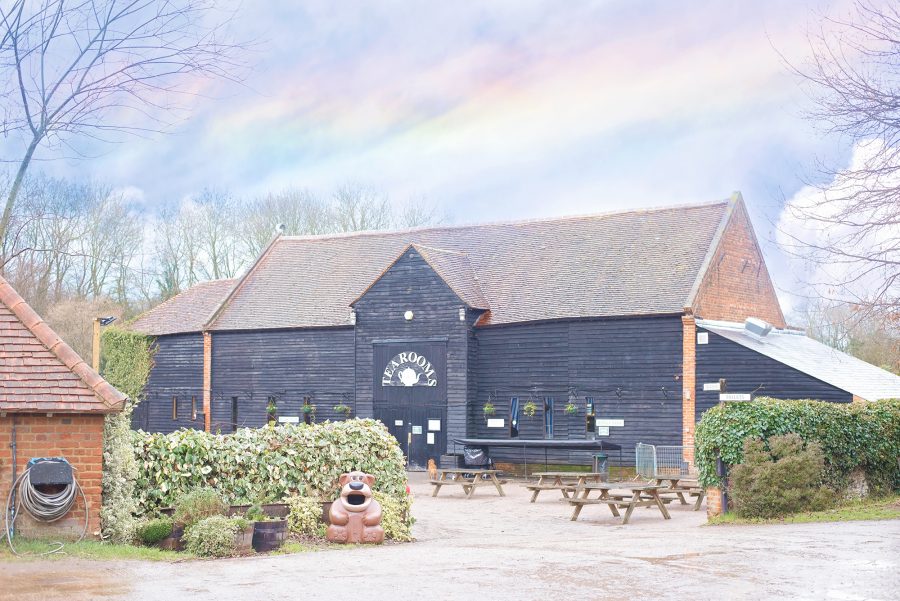 FUN ON THE FARM WITH NEXT KIDS AND BOCKETTS FARM