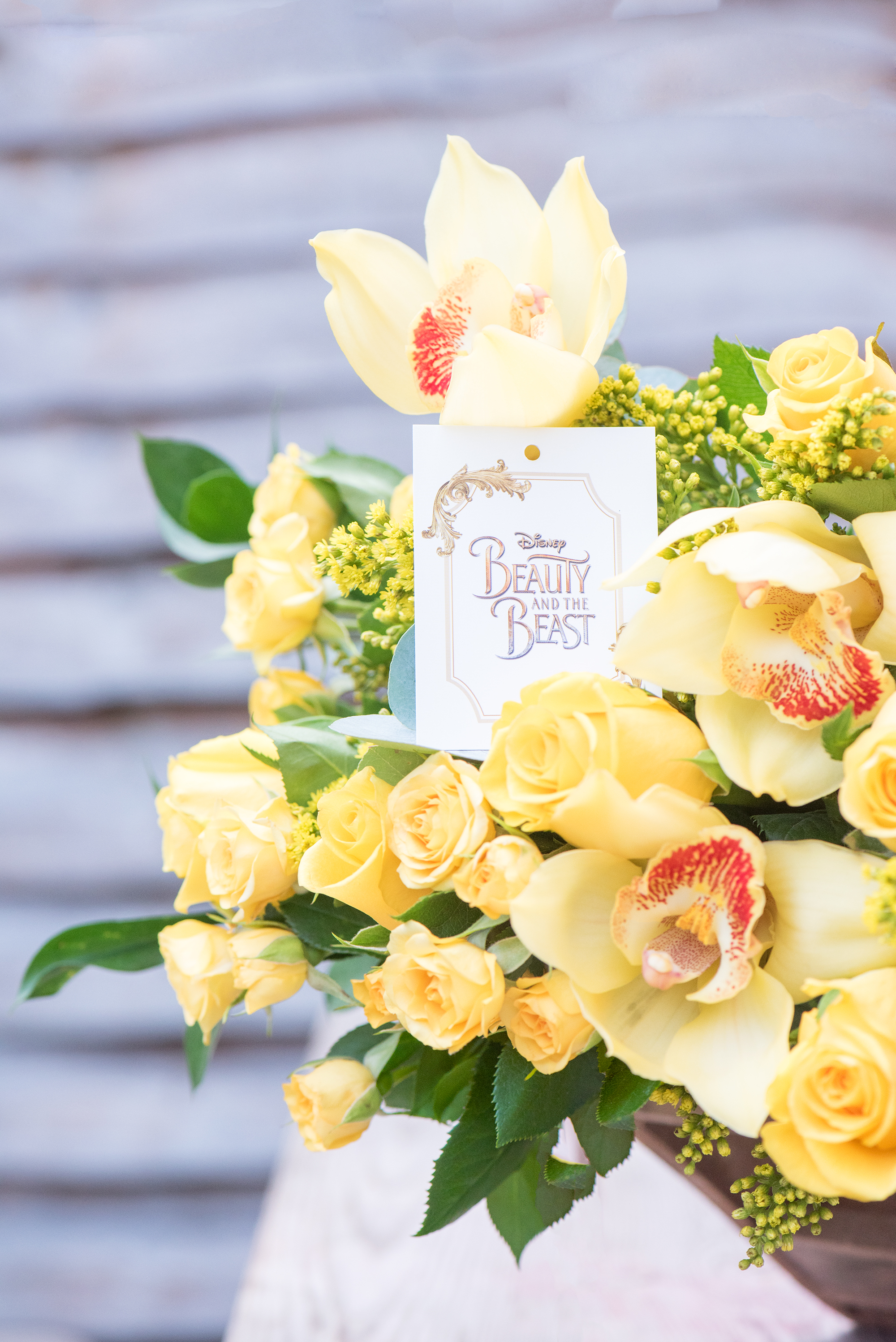 FLOWERS FOR A PRINCESS: A BEAUTY AND THE BEAST SURPRISE