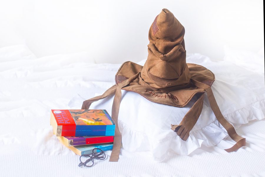 JK rowling harry potter sorting hat toy 