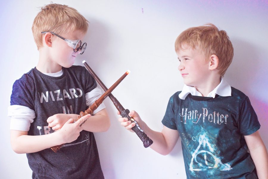 Harry Potter Wizard Training Wands