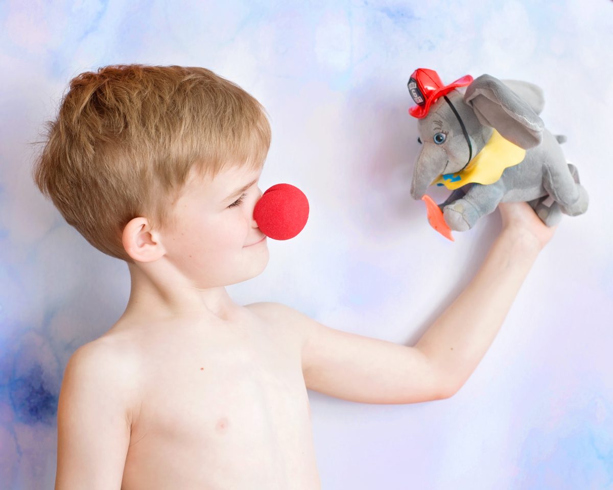 Dumbo plush toy