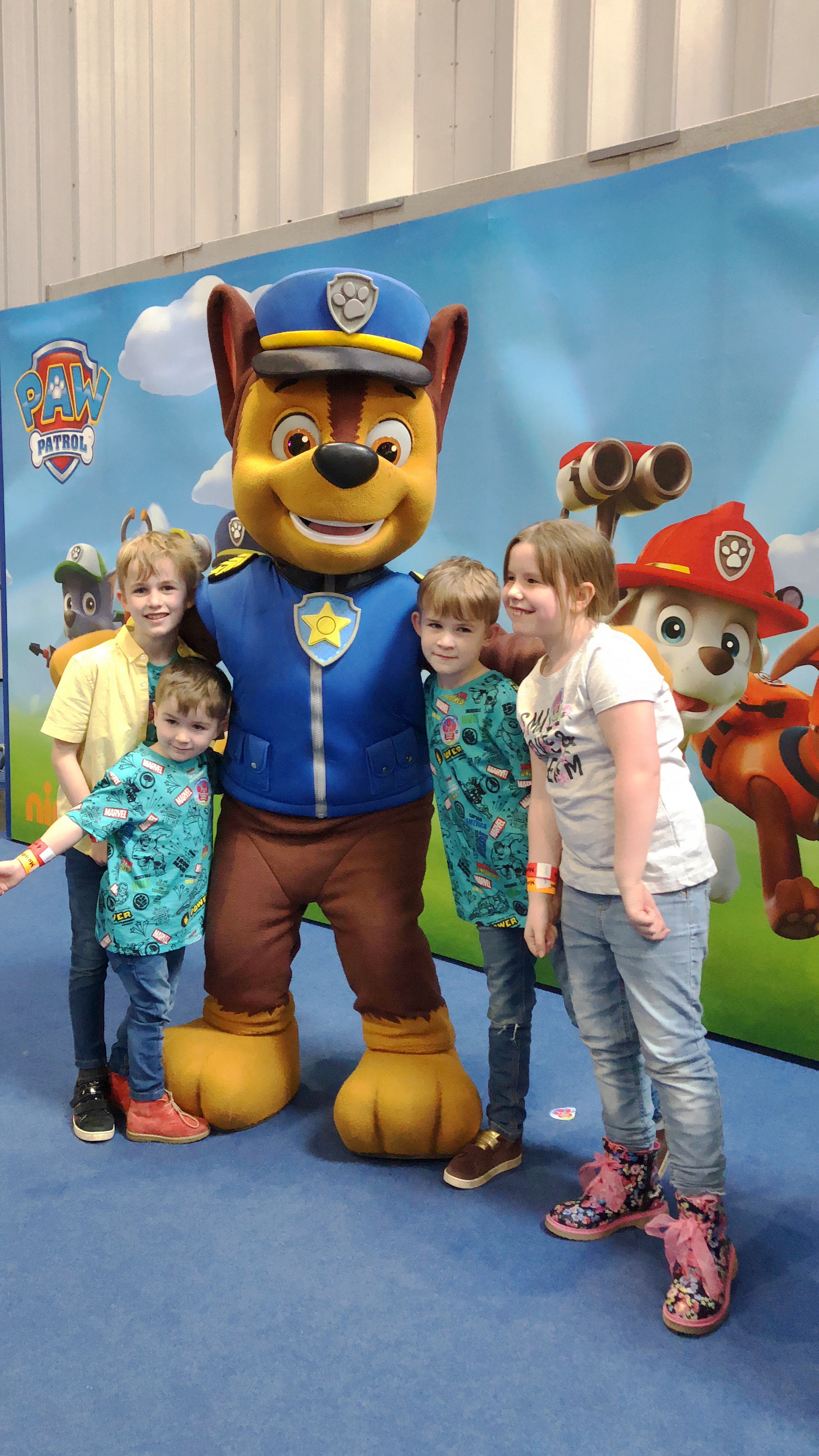 PAW PATROL LITTLE HEROES PAW AWARDS 2019