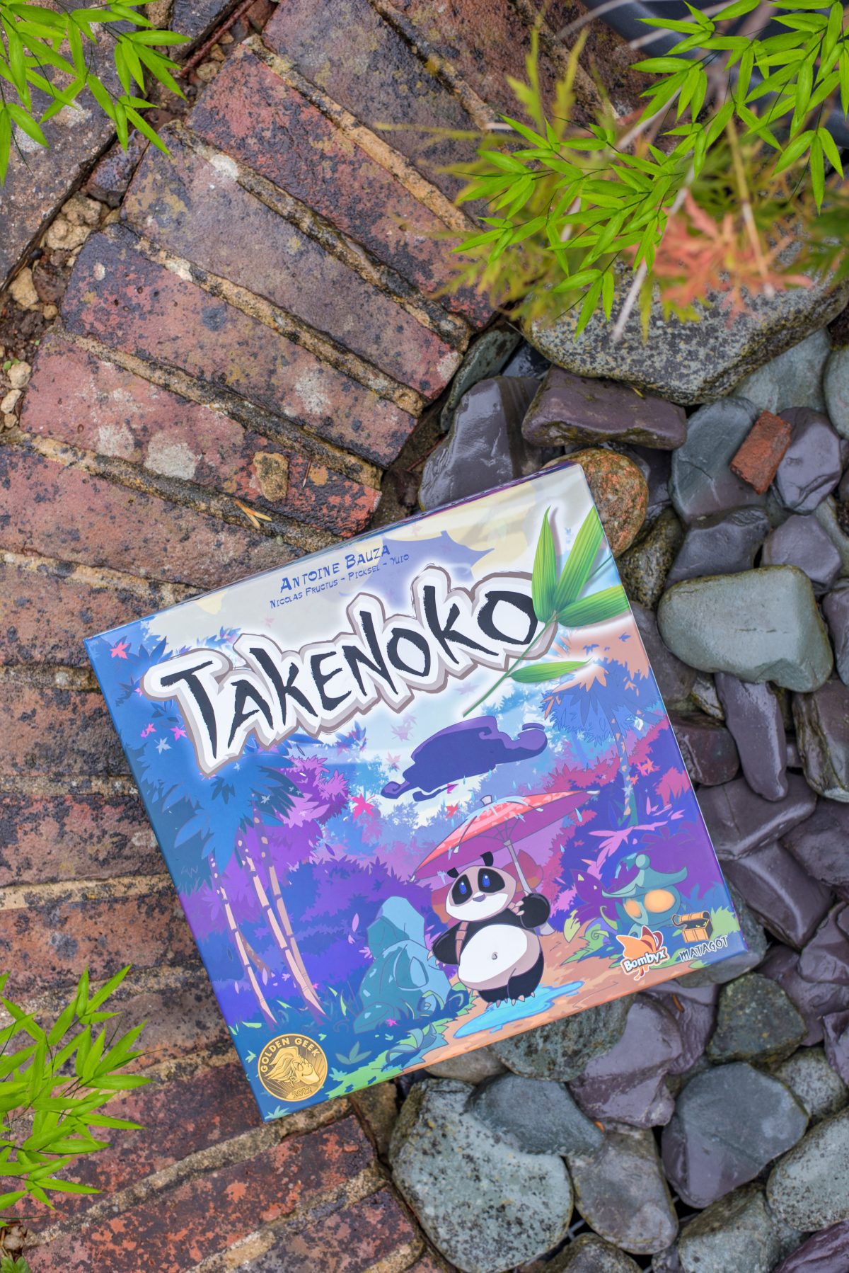 takenoko box cover