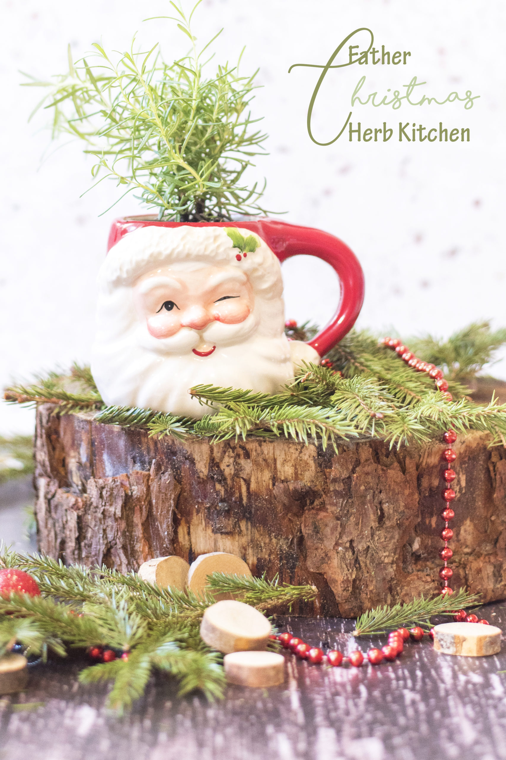 FATHER CHRISTMAS HERB KITCHEN [DIY]