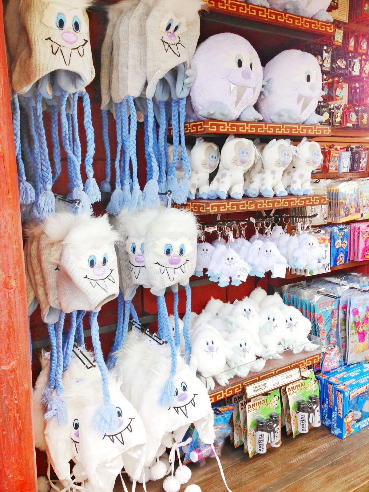 EXPEDITION EVEREST merchandise yeti hats and purses