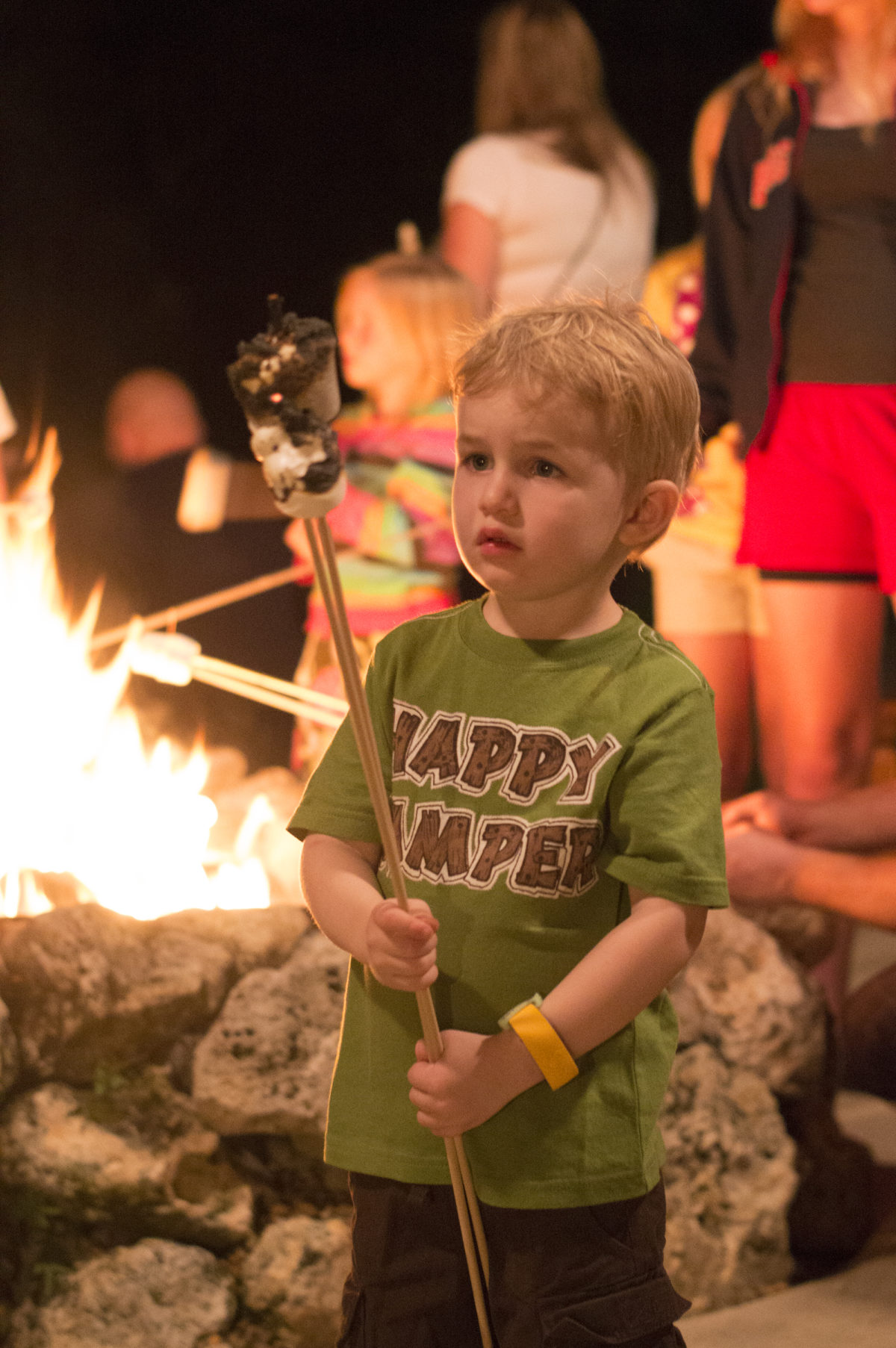 roasting marshmallows at chip 'n' Dale's campfire