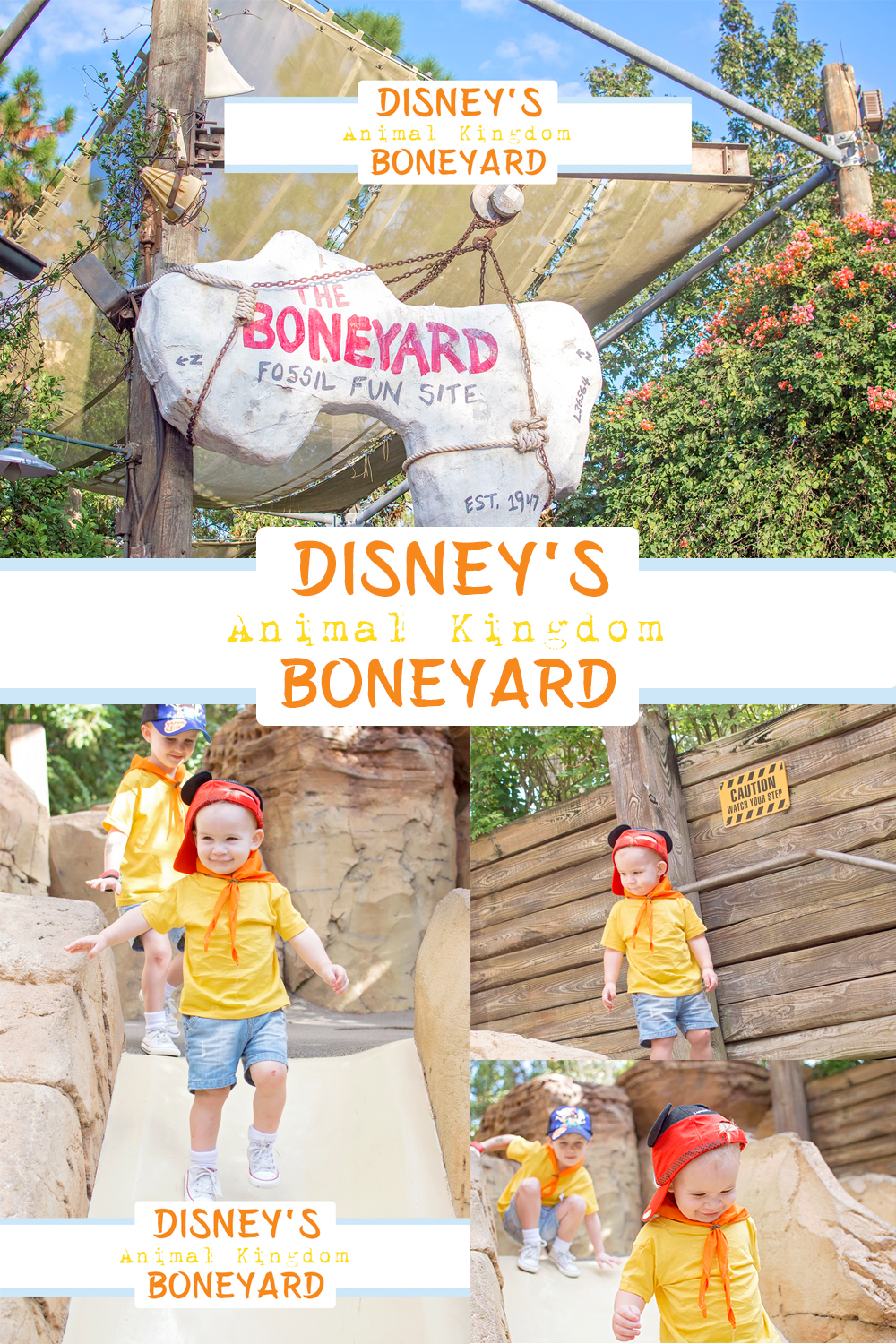 The Boneyard - Animal Kingdom - Disney World