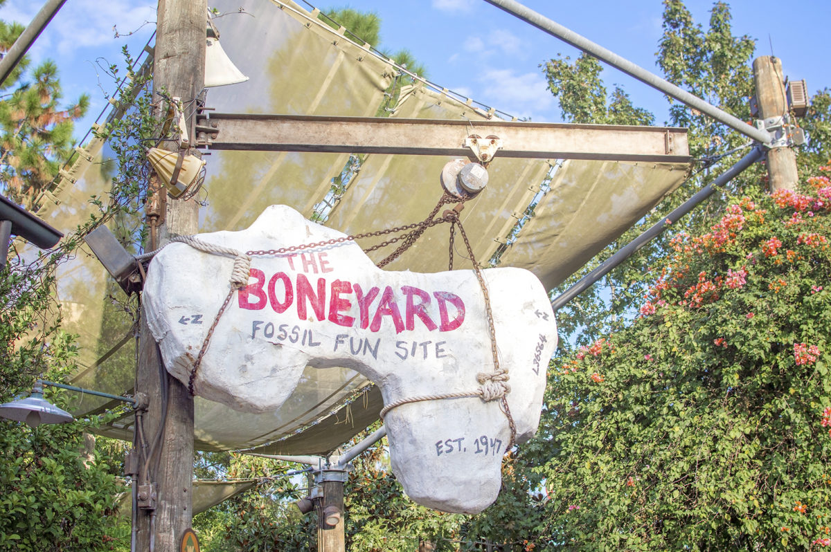 Disney's Animal Kingdom Boneyard Playground