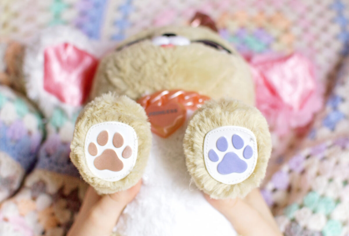 Present Pet Pup Paws Spinmaster