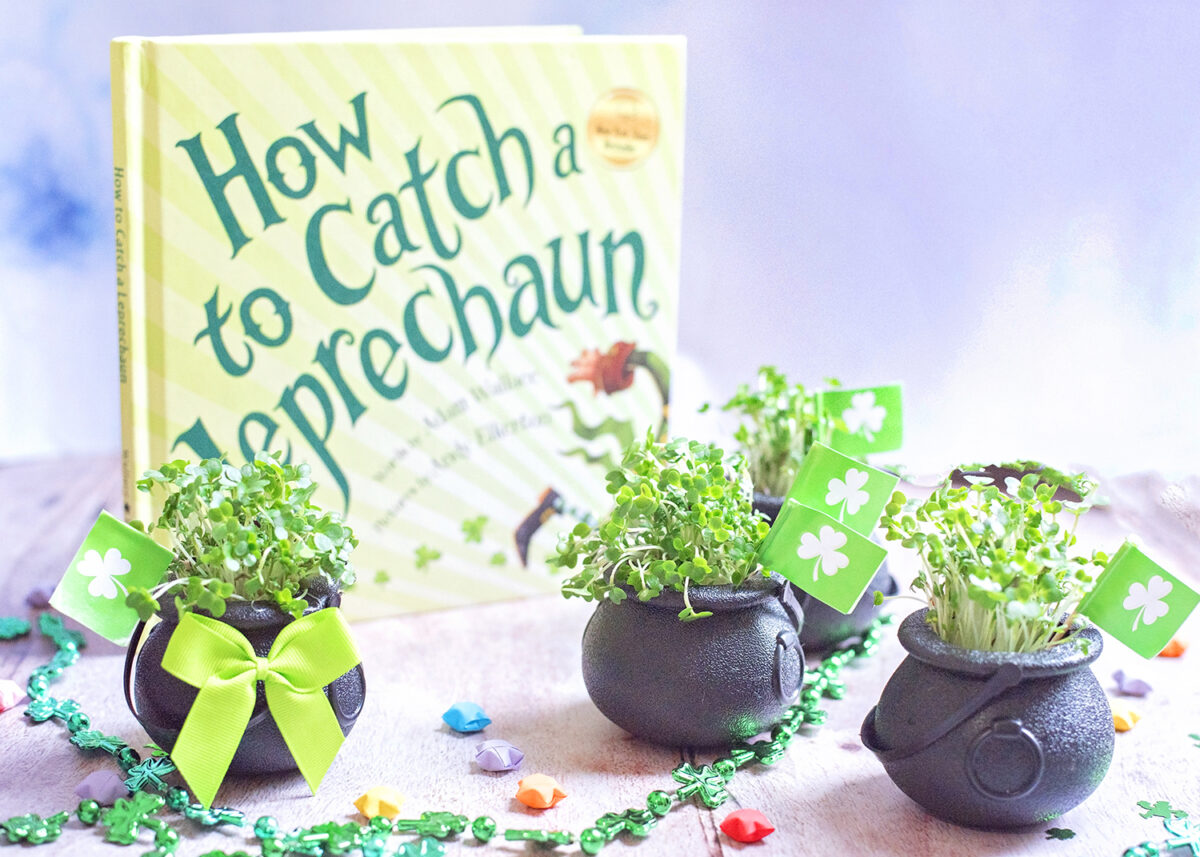 Cress shamrock pots craft DIY for kids. Last minute projects to celebrate St. Patrick's day at home